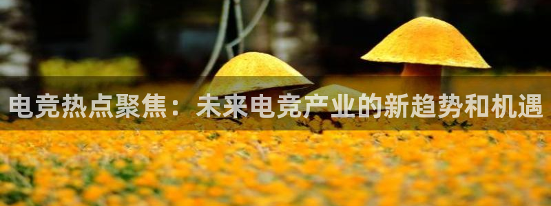 多宝电竞(体育)官方网站：电竞热点聚焦：未来电竞产业的新趋势和机遇