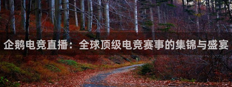 多宝电竞入口：企鹅电竞直播：全球顶级电竞赛事的集锦与盛宴