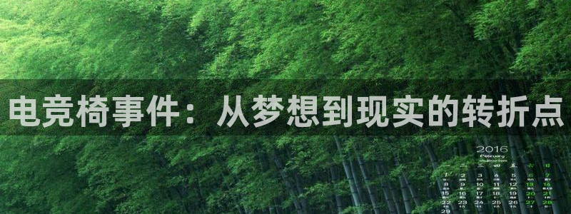 多宝电竞入口：电竞椅事件：从梦想到现实的转折点
