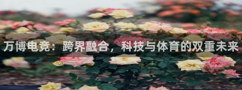 DB多宝电竞：万博电竞：跨界融合，科技与体育的双重未来