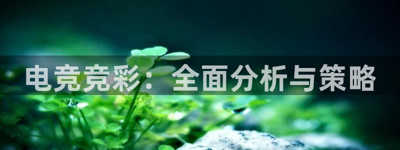 多宝电竞(体育)官方网站：电竞竞彩：全面分析与策略