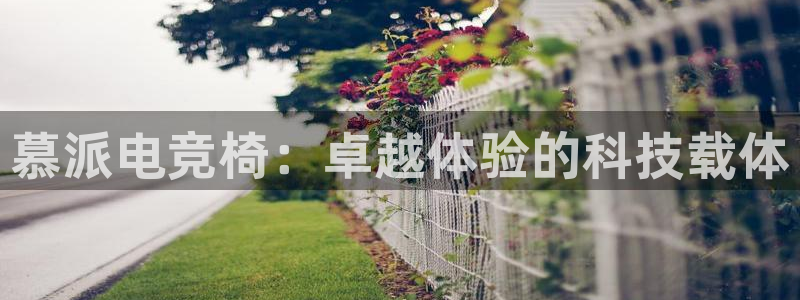 多宝电竞有名嘛：慕派电竞椅：卓越体验的科技载体