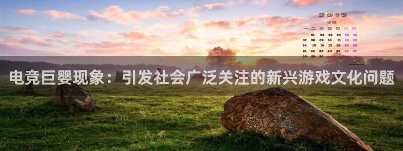多宝电竞：电竞巨婴现象：引发社会广泛关注的新兴游戏文化问题