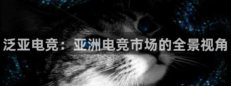 多宝电竞官网：泛亚电竞：亚洲电竞市场的全景视角