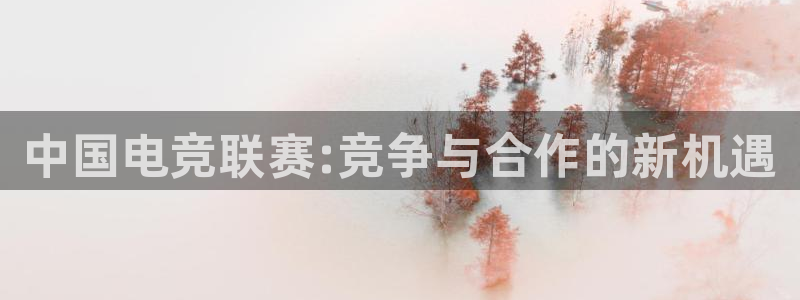 多宝电竞入口：中国电竞联赛:竞争与合作的新机遇