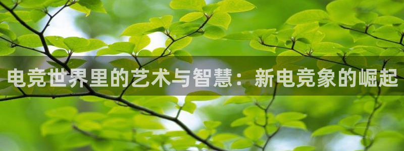 多宝电竞官网：电竞世界里的艺术与智慧：新电竞象的崛起