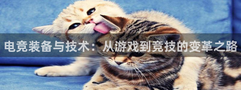 多宝电竞下载：电竞装备与技术：从游戏到竞技的变革之路